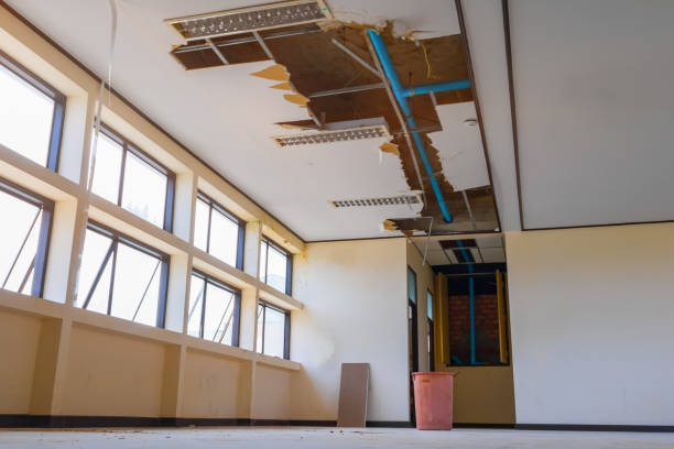 Best Professional water damage repair  in , UT