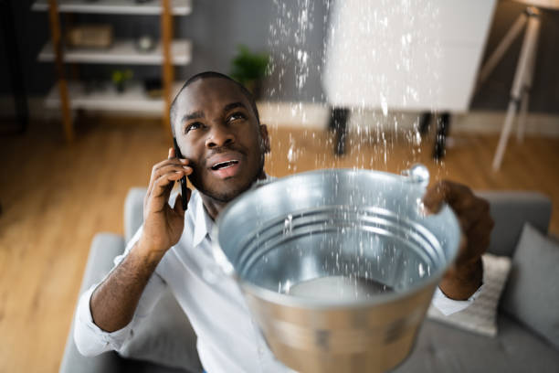 Best Basement water damage restoration  in , UT