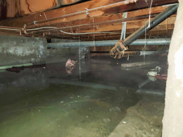 Best Ceiling water damage repair  in , UT