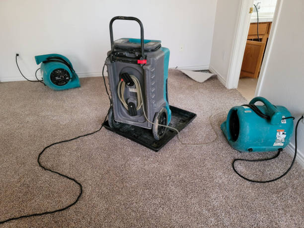 Best Carpet water damage restoration  in , UT