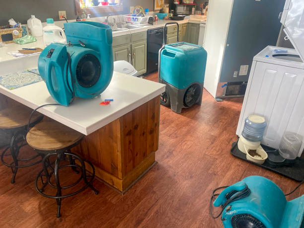 Best Emergency water damage restoration  in , UT