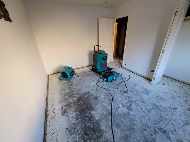 Best Water damage restoration experts  in , UT