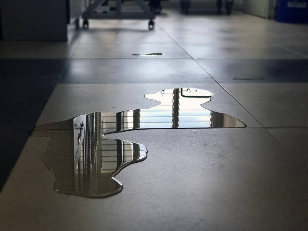 Best Water damage cleanup near me  in , UT