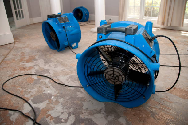 Best Mold removal after water damage  in , UT