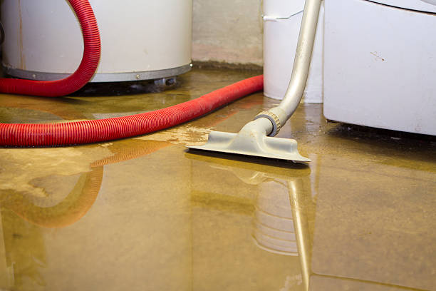 Best Water damage mitigation services  in , UT