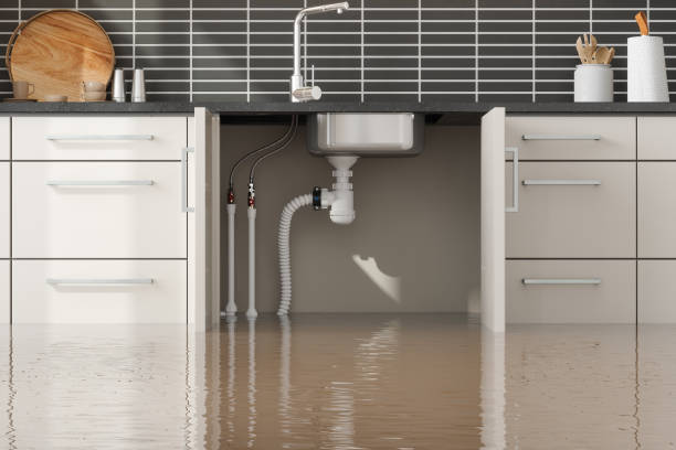 Best Flood damage cleanup  in , UT
