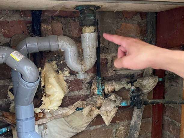 Best Basement water damage restoration  in , UT